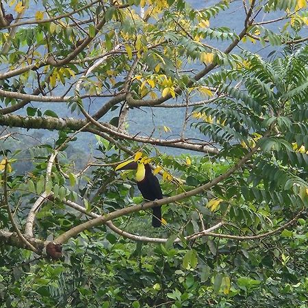 Tio Felix Eco Lodge La Fortuna Екстер'єр фото