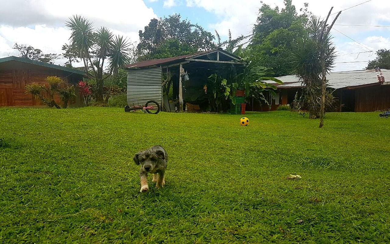 Tio Felix Eco Lodge La Fortuna Екстер'єр фото