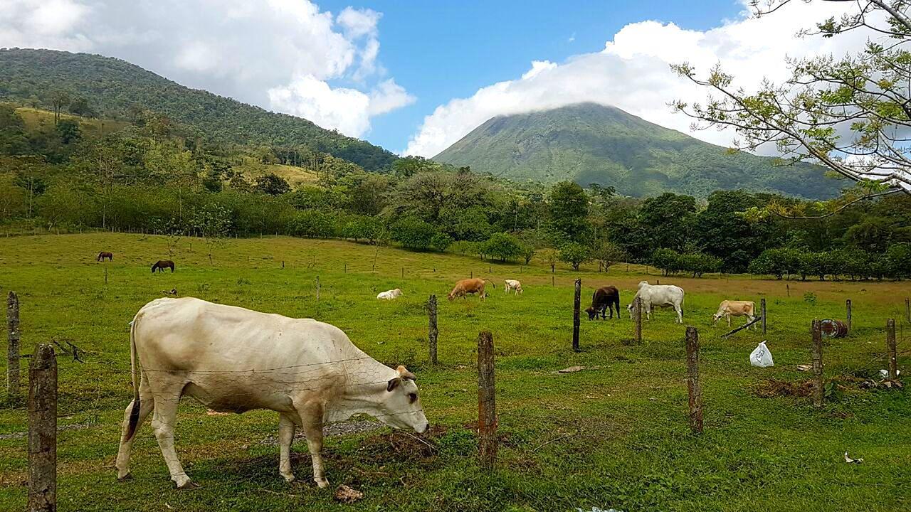 Tio Felix Eco Lodge La Fortuna Екстер'єр фото