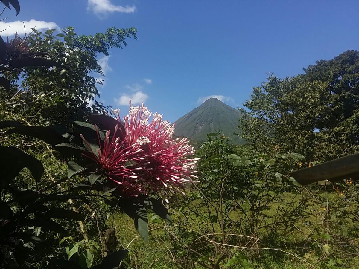 Tio Felix Eco Lodge La Fortuna Екстер'єр фото
