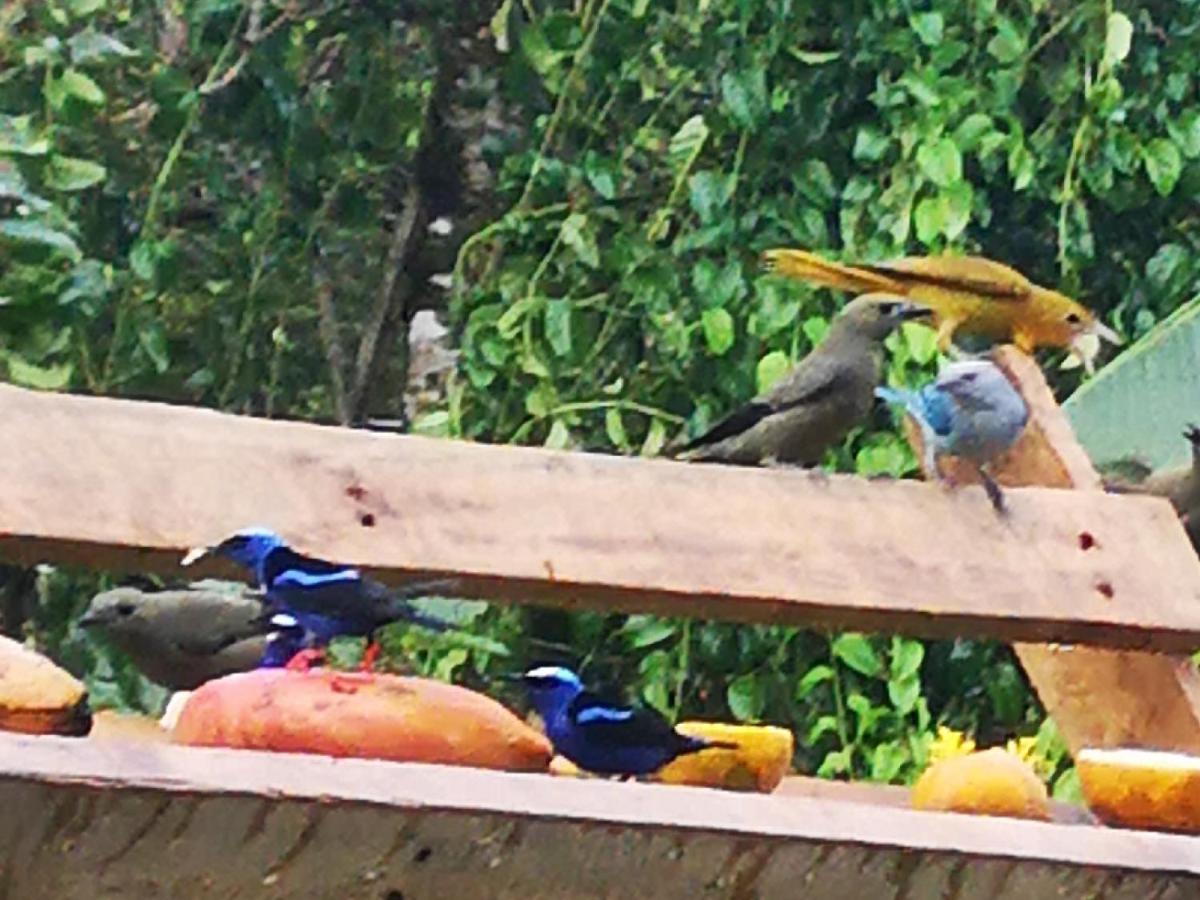 Tio Felix Eco Lodge La Fortuna Екстер'єр фото